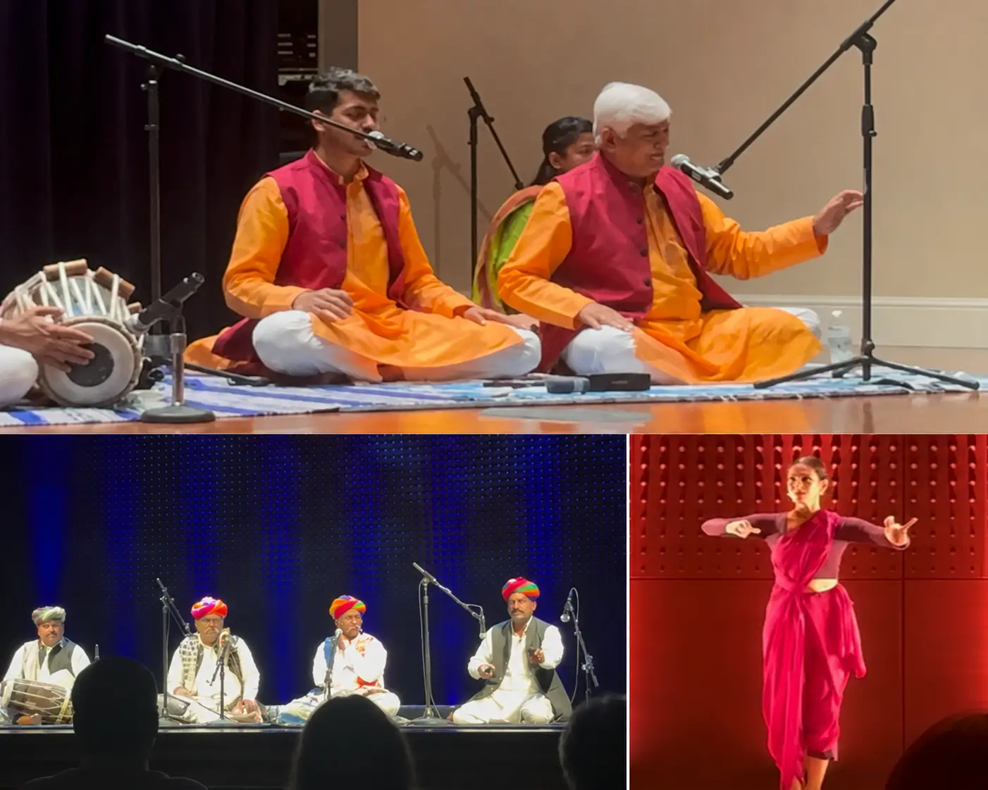 artists performing at the Parkinsons care event